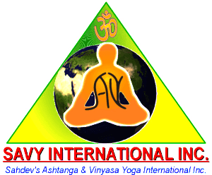 SAVY International Inc